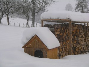 la niche