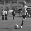 small_foot18